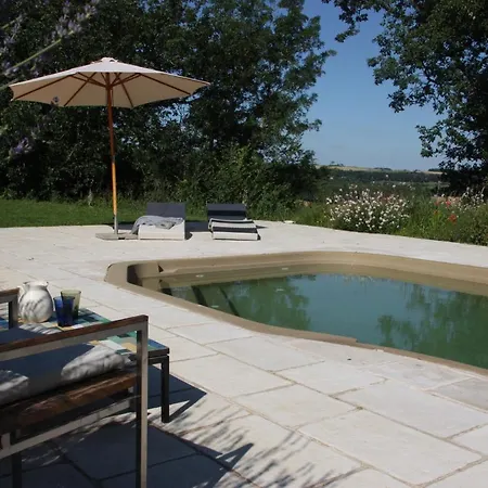 Hotel Chateau De Puissentut *